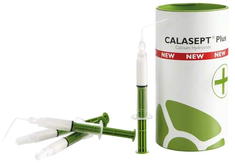 CALASEPT Plus 4U + 20 Nadeln 4 x 1,5 ml