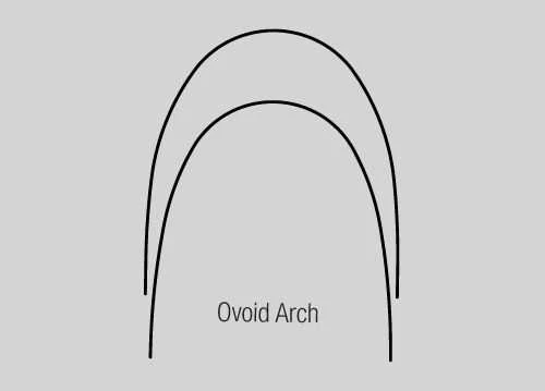 Stainless Steel Ovoid Arch Lower .016 x .022 10/PK