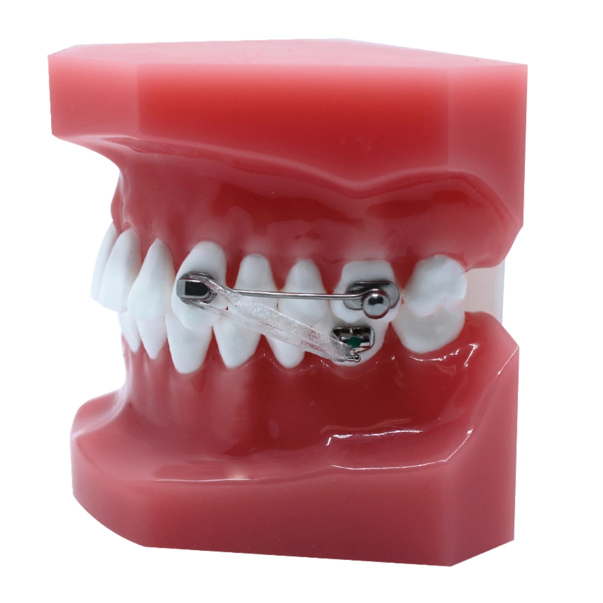 D2 Appliance, Set mit 2 Stück, 2 x Distalizer