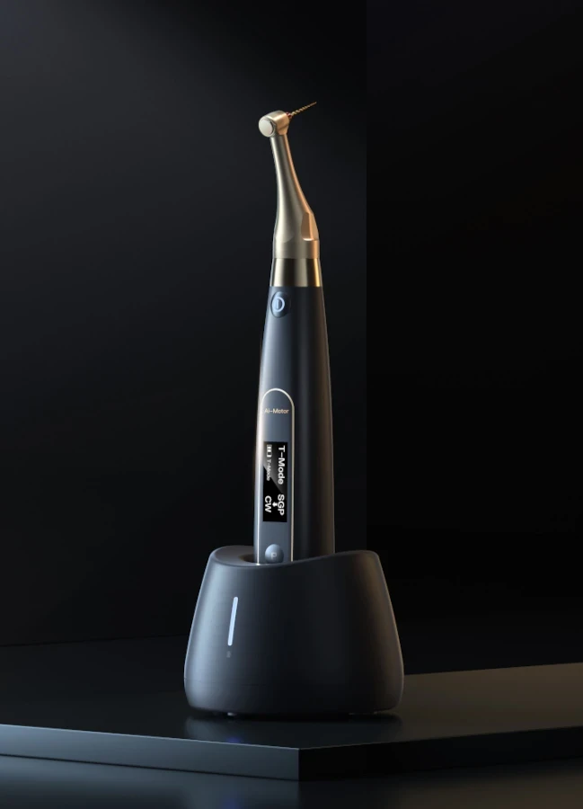 Endomotor, bürstenlos, mit integriertem Apex-Locater, schwarz, Packung à 1 Stück