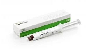 GuttaFlow 2, ohne Silber, Refill, Packung à 1 Stück