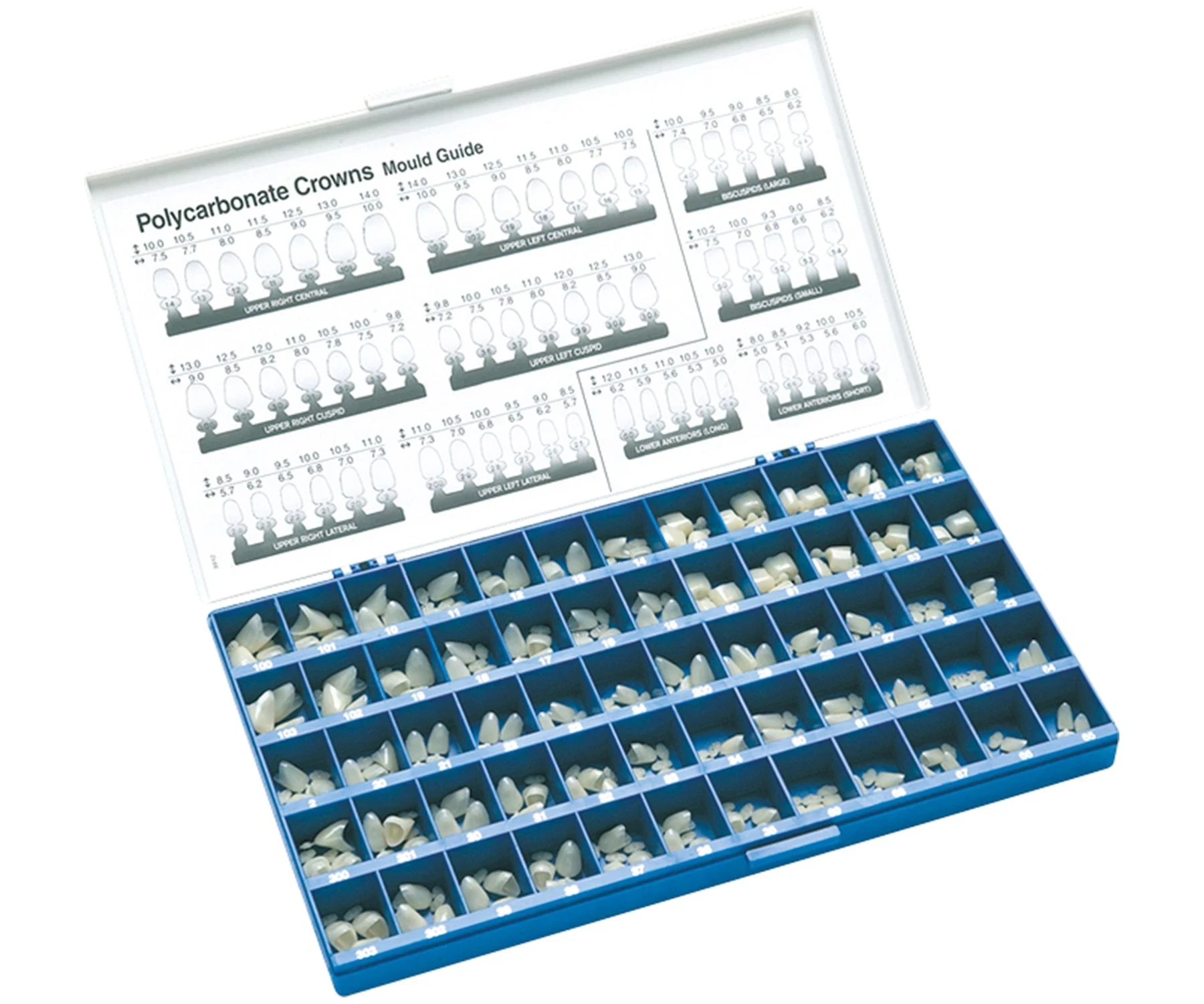 Polycarbonatkronen OK rechts, seitliche Schneidezähne Nr. 23, Pckg. 5 Stück