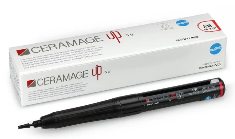 Ceramage UP Spritze 5 g, body, W1B