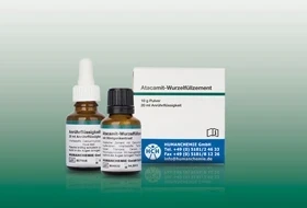Atacamit-Wurzelfüllzement Kombipackung, Set (10g Pulver, 20 ml Anrührflüssigkeit)